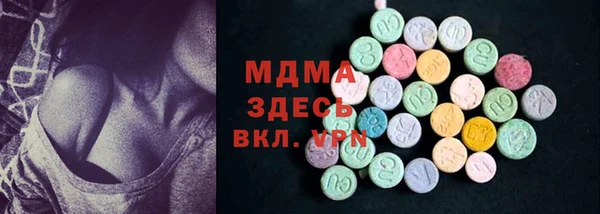 индика Протвино