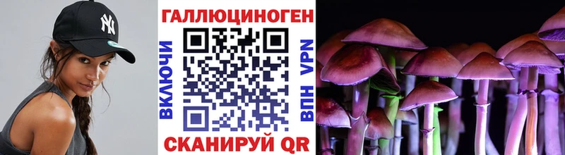 Псилоцибиновые грибы мицелий  купить   Джанкой 